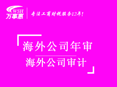 海外公司審計代辦_海外公司做賬報稅_代理海外記賬-萬事惠海外服務